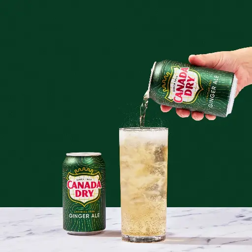 Canada Dry Ginger Ale 2pcsx12oz 